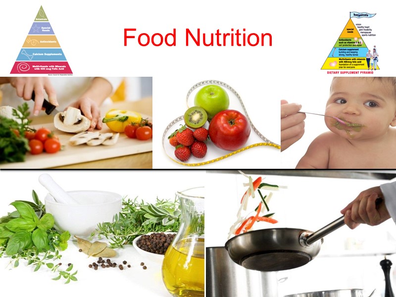 Food Nutrition